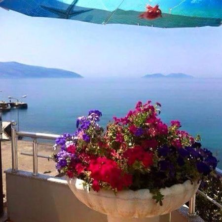 Vlora Apartments Bagian luar foto