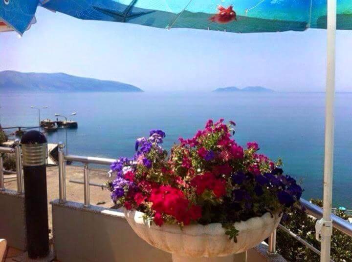 Vlora Apartments Bagian luar foto